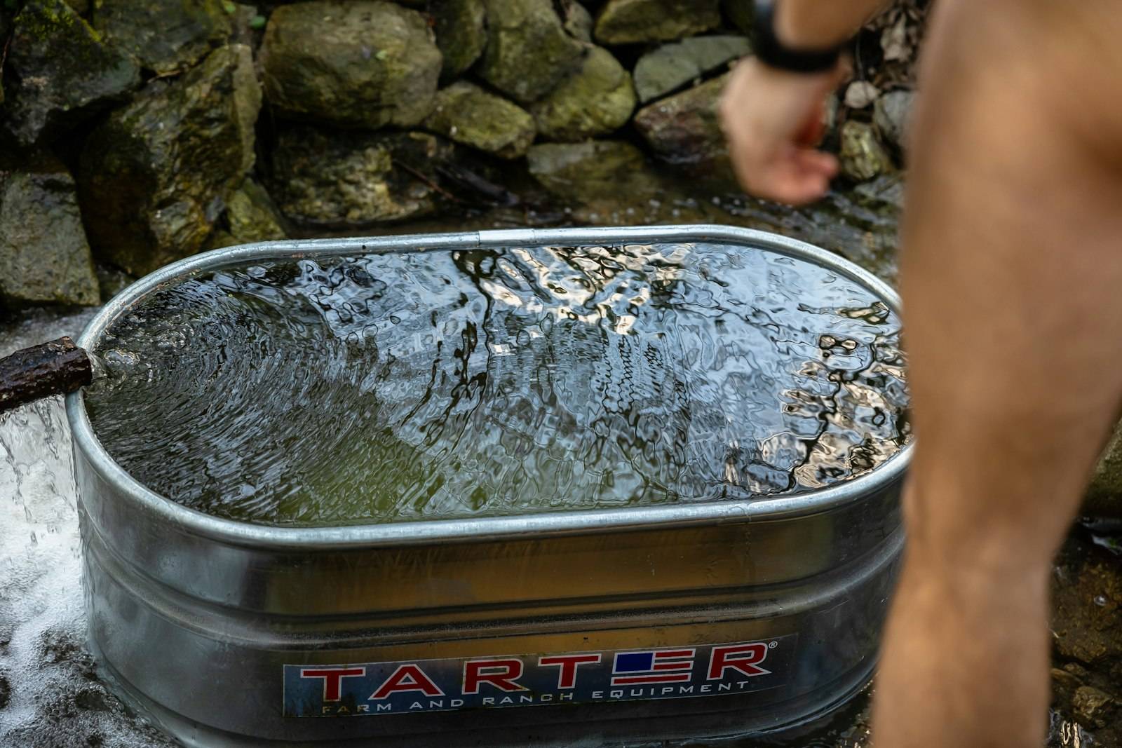 Galvanized outdoor cold plunge tub filled with cold water in a mossy natural setting